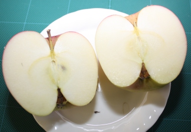 202302160913063-admin.jpg