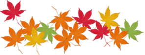 20230217111941-admin.gif