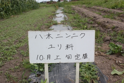 202302181121389-admin.jpg