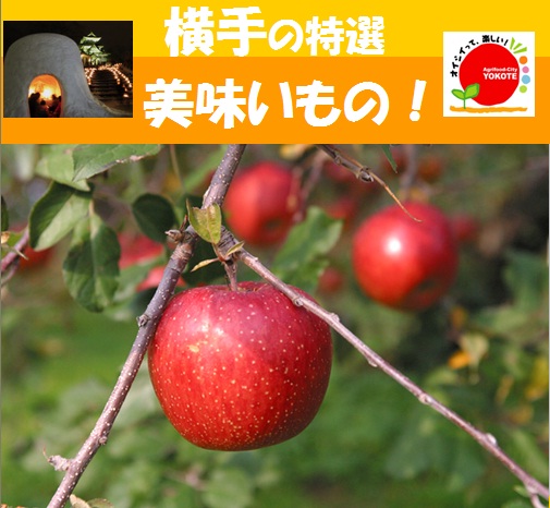 20230218160024-admin.jpg