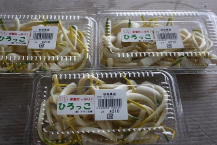 20230220100830-admin.jpg