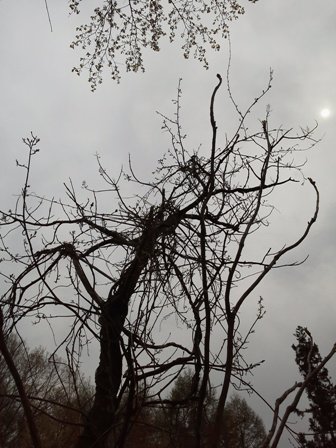 202302201107292-admin.jpg