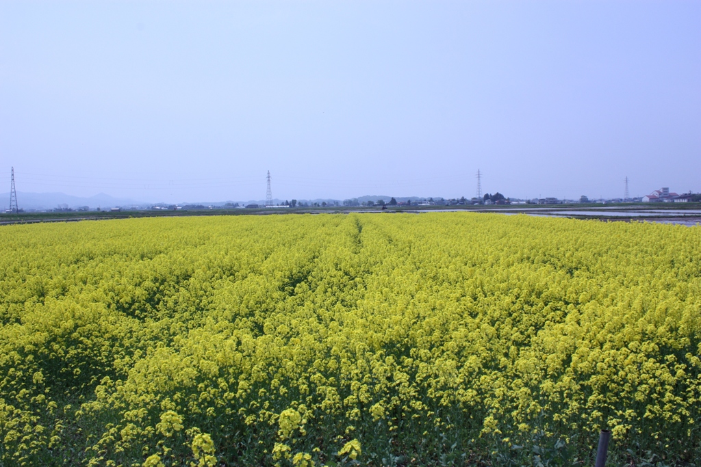 20230220111545-admin.jpg