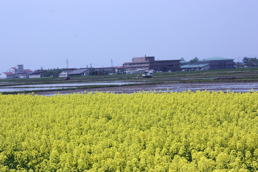 202302201115451-admin.jpg