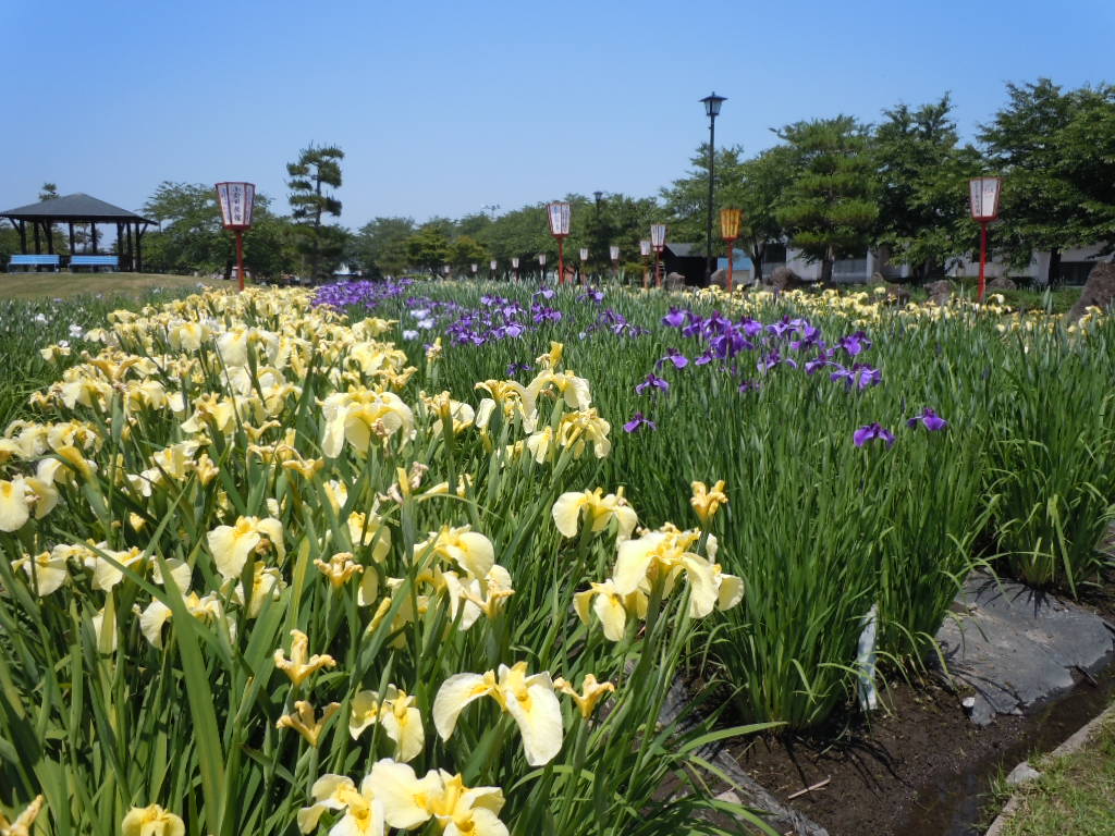 20230220145625-admin.jpg
