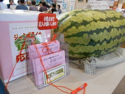 202302261556541-admin.jpg