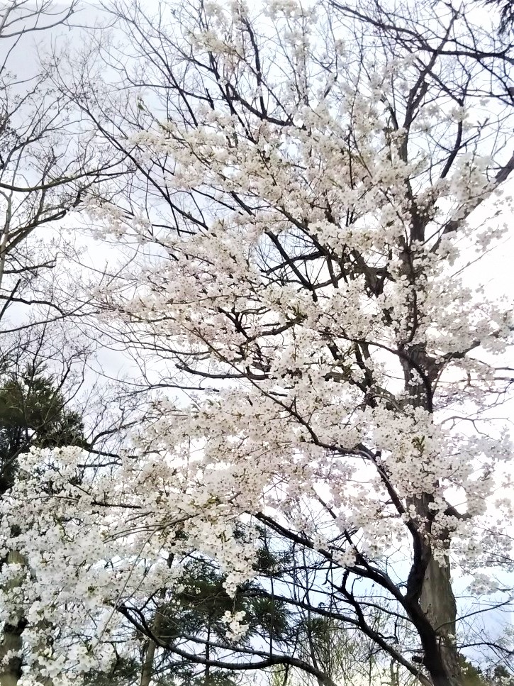 20230306153112-admin.jpg
