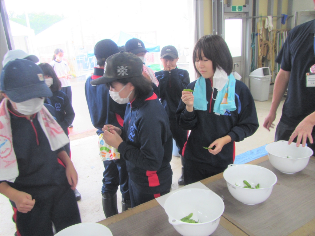 20230311103309-admin.jpg