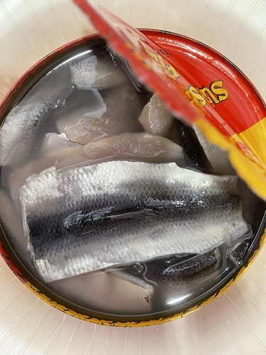 20230314104452-admin.jpg