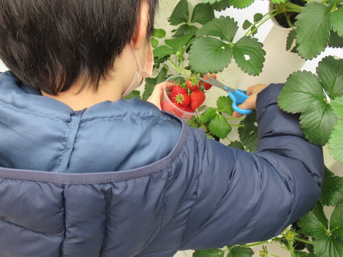 20230314141621-admin.jpg